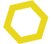 fig-yellow-min.png